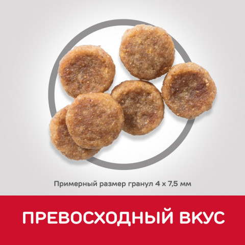 Сухой корм Hills Science Plan для взрослых собак мелких пород для поддержания здоровья кожи и шерсти , с курицей - 300 г