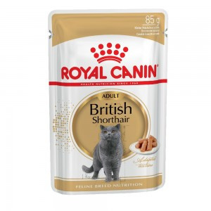 Royal Canin British Shorthair Adult паучи для взрослых британских короткошерстных кошек в соусе - 85 г*24 шт