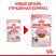 Royal Canin Kitten паучи для котят до 12 месяцев кусочки в соусе - 85 г*24 шт