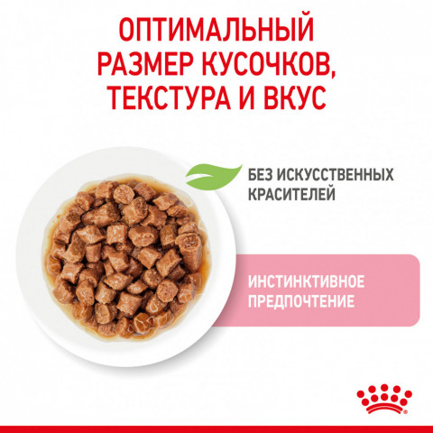Royal Canin Kitten паучи для котят до 12 месяцев кусочки в соусе - 85 г*24 шт