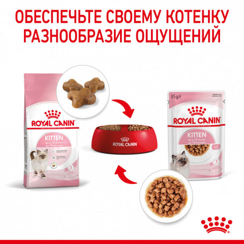 Royal Canin Kitten паучи для котят до 12 месяцев кусочки в соусе - 85 г*24 шт
