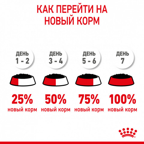 Royal Canin Kitten паучи для котят до 12 месяцев кусочки в соусе - 85 г*24 шт