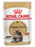 Royal Canin Maine Coon Adult паучи для взрослых кошек породы Мэйн Кун в соусе - 85 г*28 шт