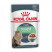 Royal Canin Digestive Care влажный корм для взрослых кошек с расстройствами пищеварительной системы в паучах - 85 г*28 шт