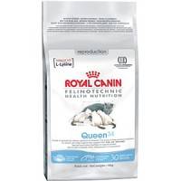 Royal canin queen store