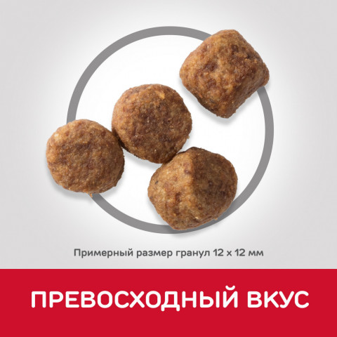 Сухой корм Hills Science Plan для пожилых собак (7+) средних пород для поддержания активности и здоровья желудочно - кишечного тракта, с курицей - 12 кг