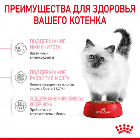 Royal Canin Kitten 34 сухой корм для котят от 4 до 12 месяцев с птицей - 10 кг