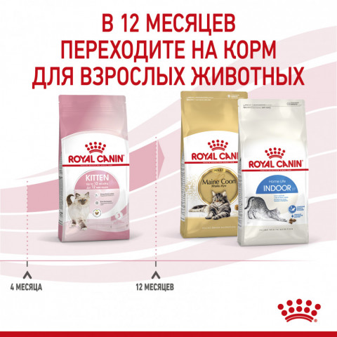 Royal Canin Kitten 34 сухой корм для котят от 4 до 12 месяцев с птицей - 10 кг