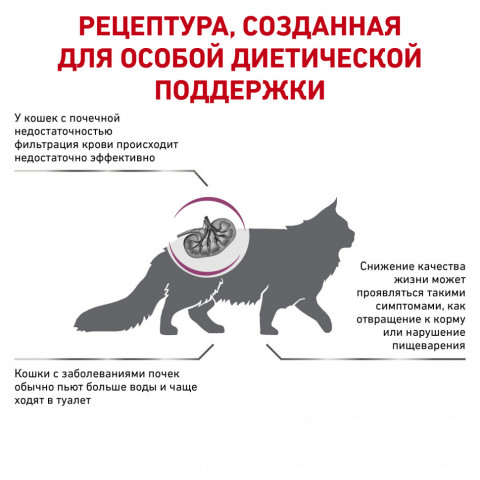 Royal Canin Renal для взрослых кошек с хронической почечной недостаточностью - 2 кг