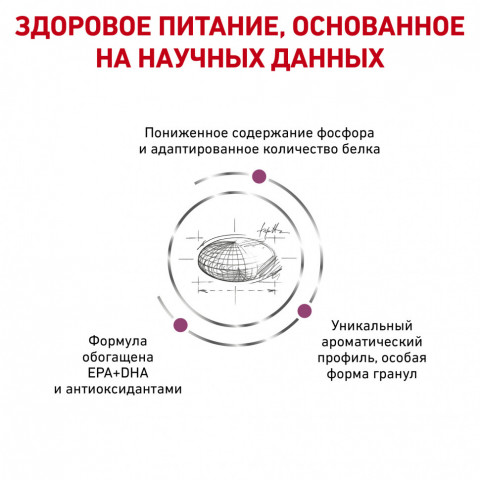 Royal Canin Renal для взрослых кошек с хронической почечной недостаточностью - 2 кг