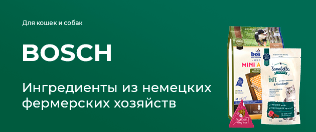 Наши контакты