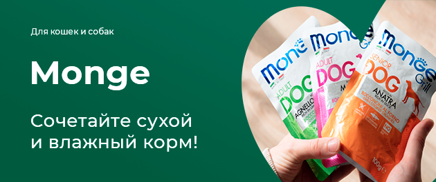 Наши контакты